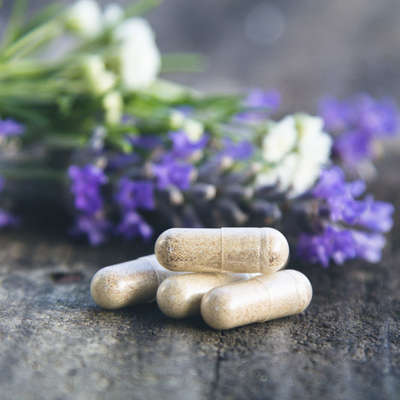 version 400 phytotherapie